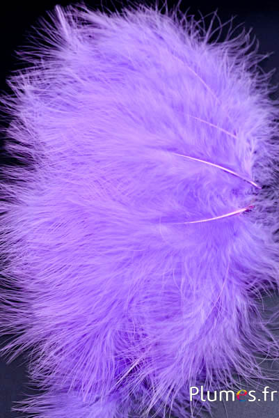 Dinde marabout - 8-12 cm - lilas